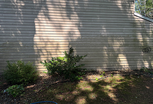 Before